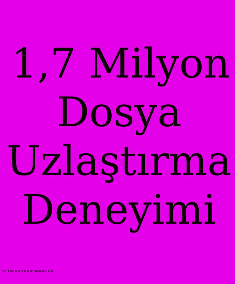 1,7 Milyon Dosya Uzlaştırma Deneyimi