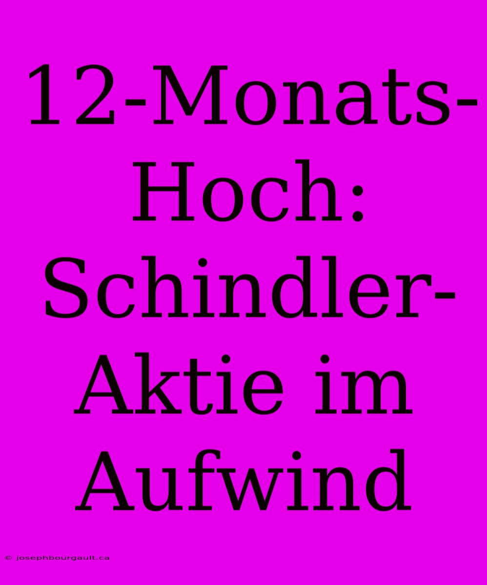 12-Monats-Hoch: Schindler-Aktie Im Aufwind