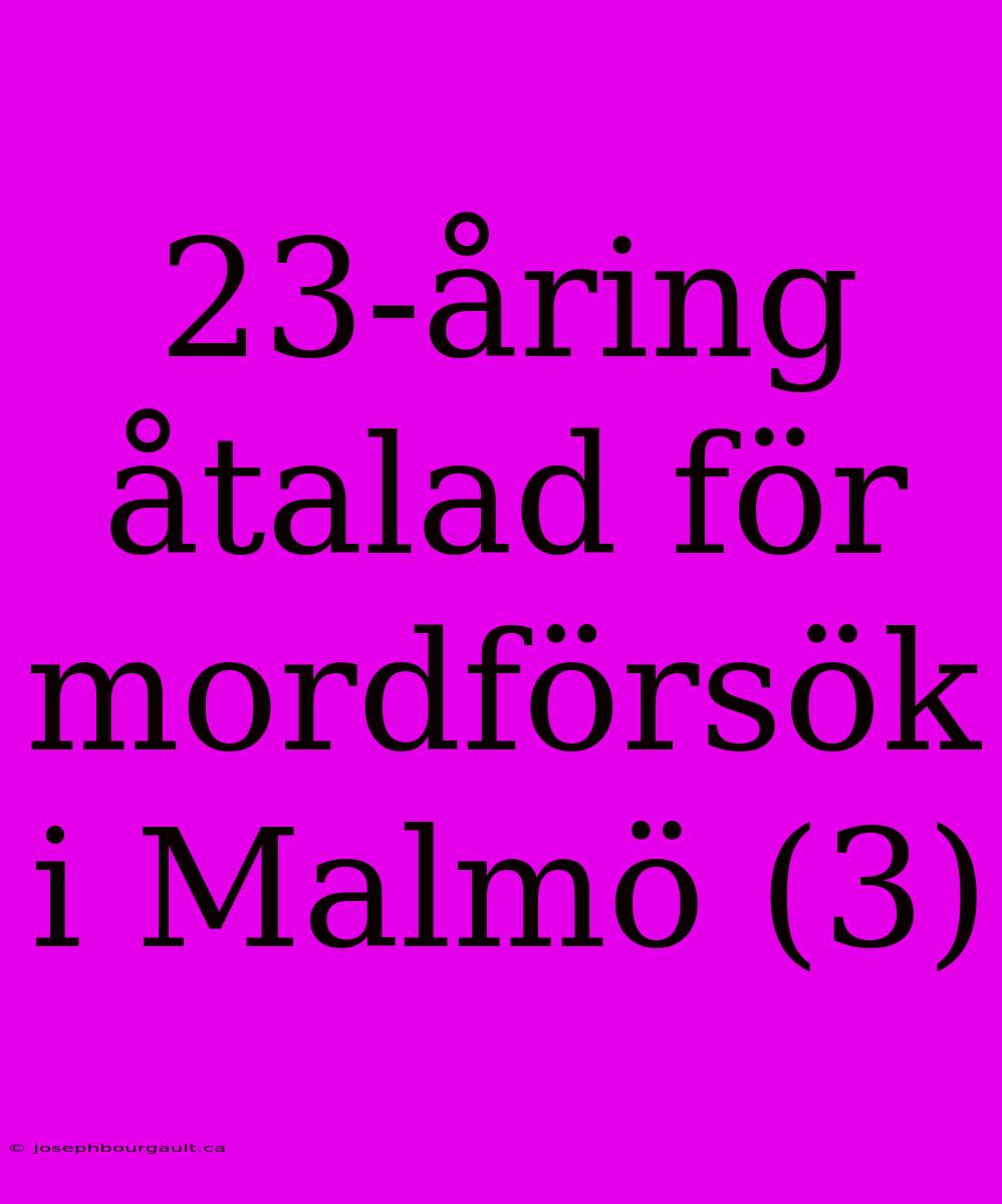 23-åring Åtalad För Mordförsök I Malmö (3)