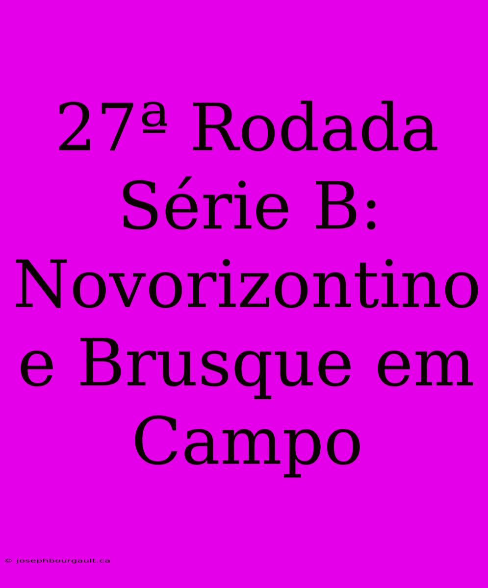 27ª Rodada Série B: Novorizontino E Brusque Em Campo