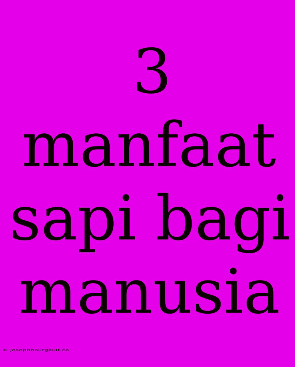 3 Manfaat Sapi Bagi Manusia