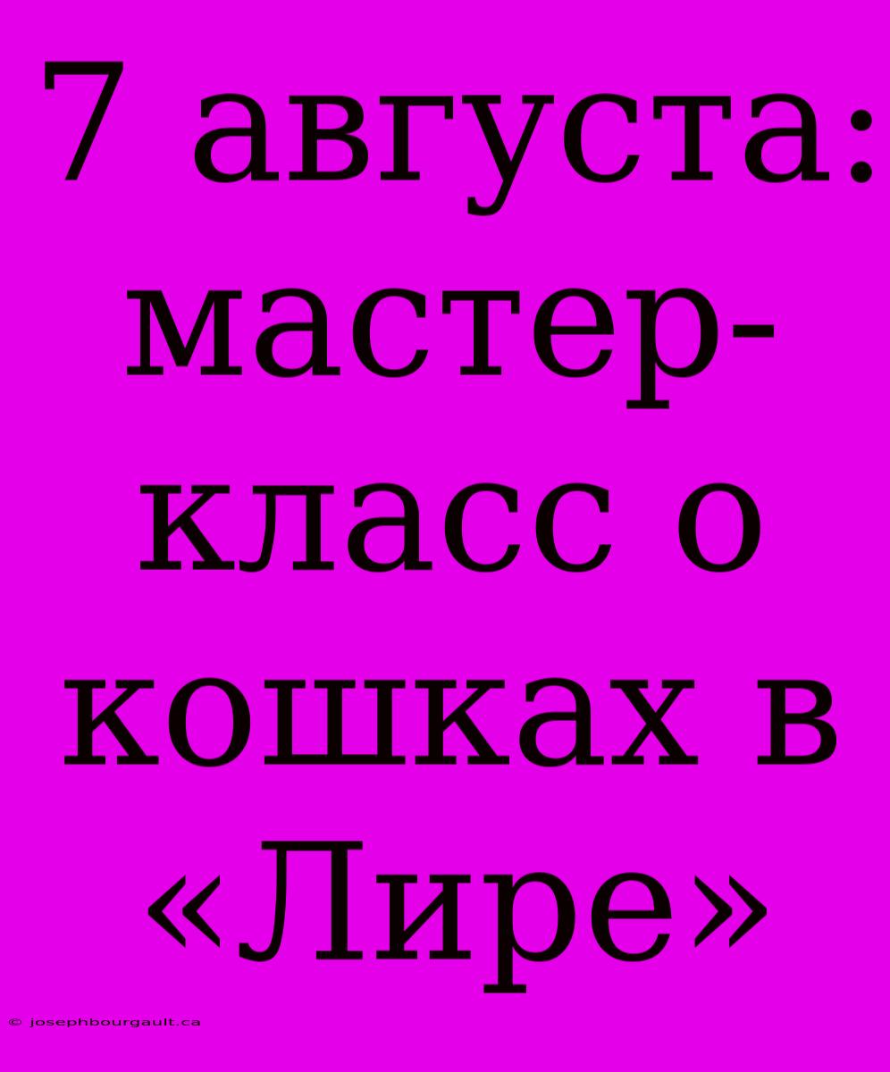 7 Августа: Мастер-класс О Кошках В «Лире»