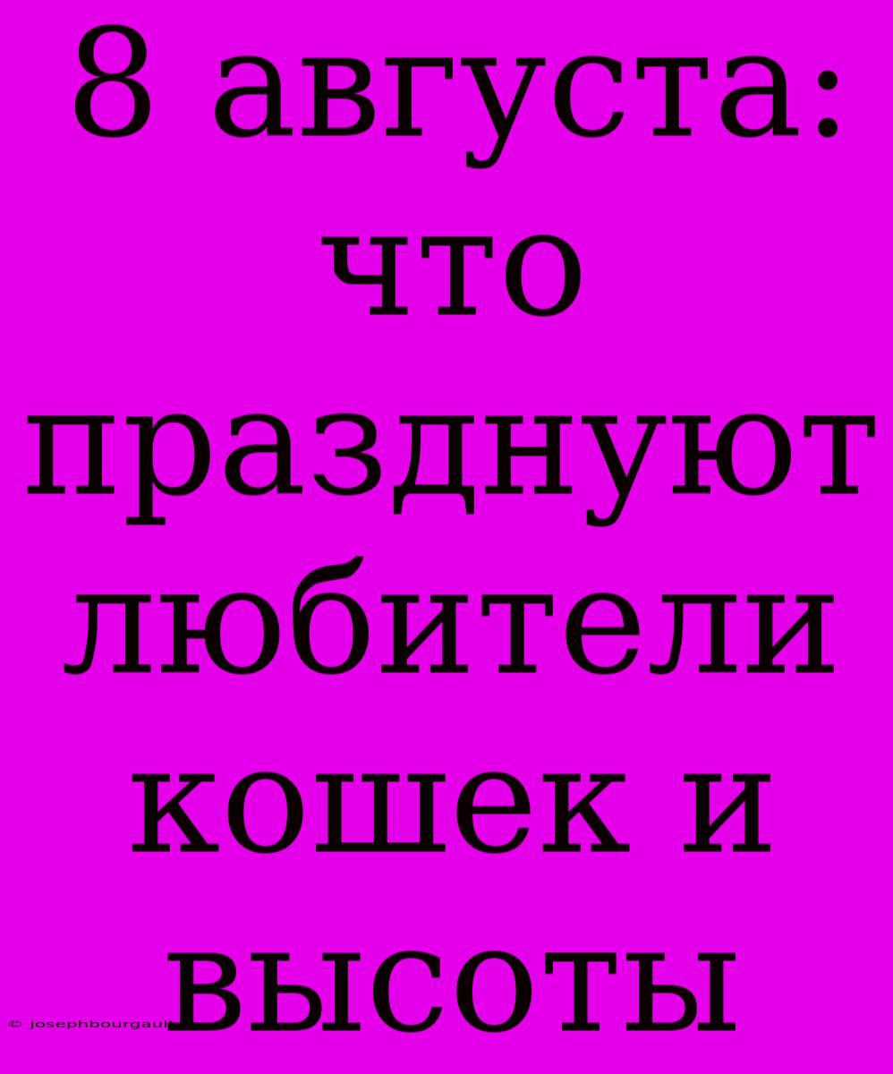 8 Августа: Что Празднуют Любители Кошек И Высоты