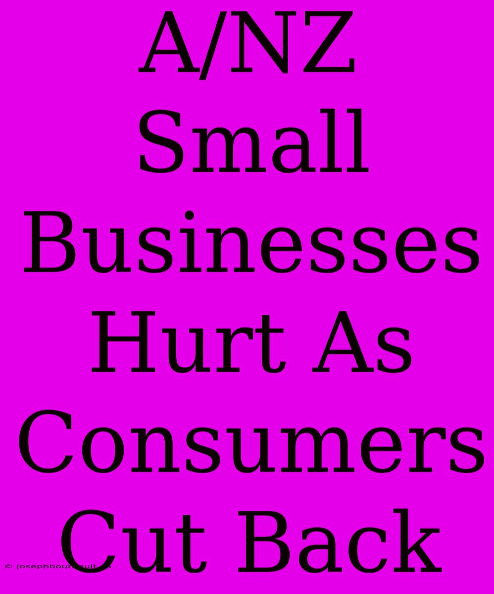 A/NZ Small Businesses Hurt As Consumers Cut Back