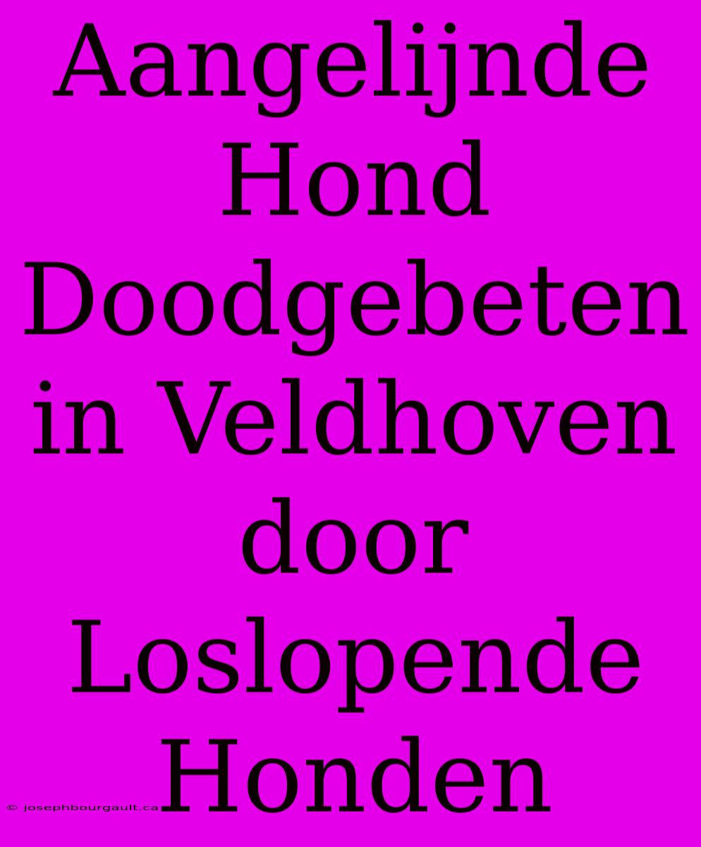 Aangelijnde Hond Doodgebeten In Veldhoven Door Loslopende Honden