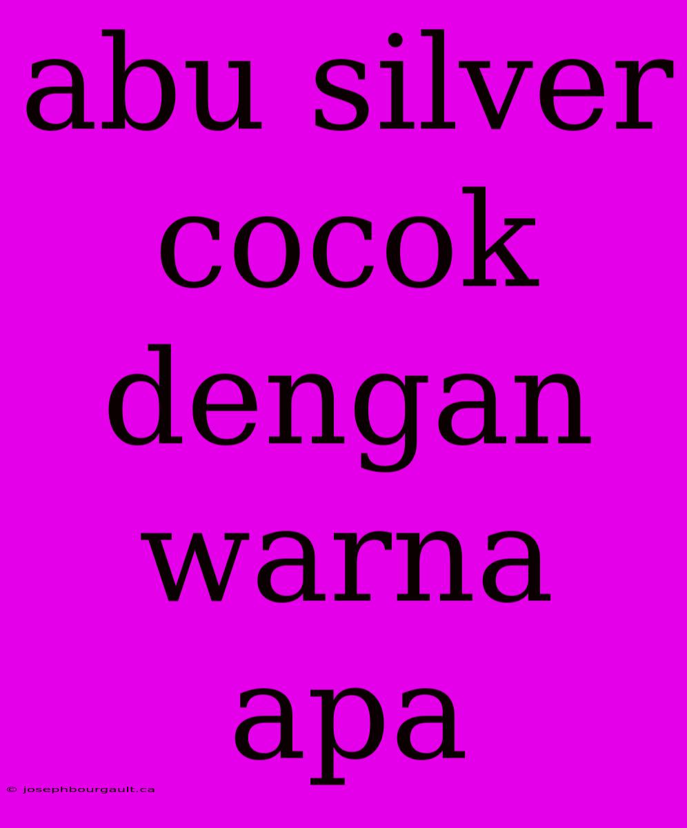 Abu Silver Cocok Dengan Warna Apa