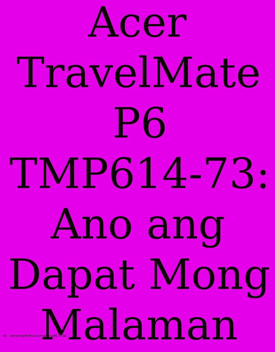 Acer TravelMate P6 TMP614-73:  Ano Ang Dapat Mong Malaman