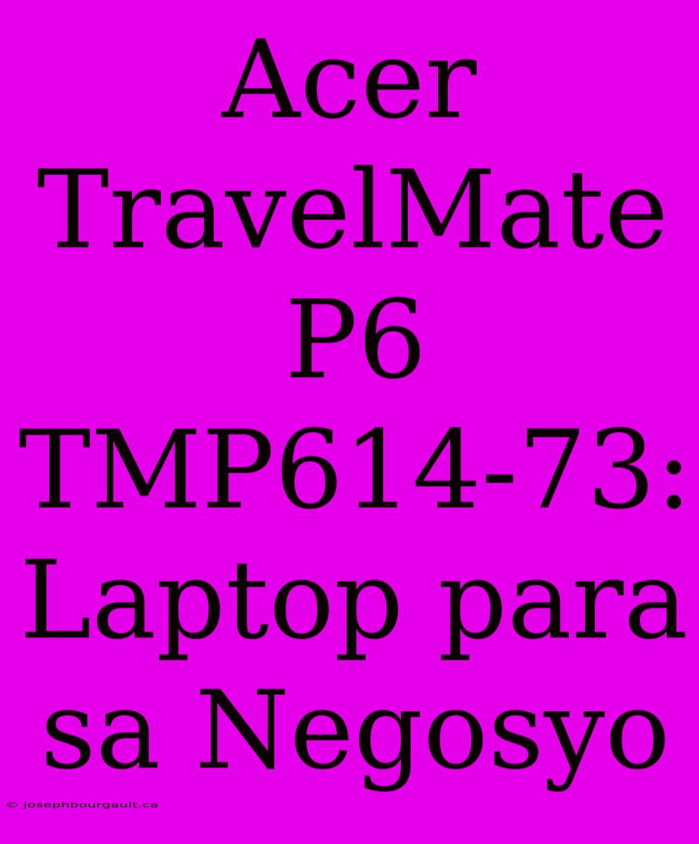 Acer TravelMate P6 TMP614-73: Laptop Para Sa Negosyo