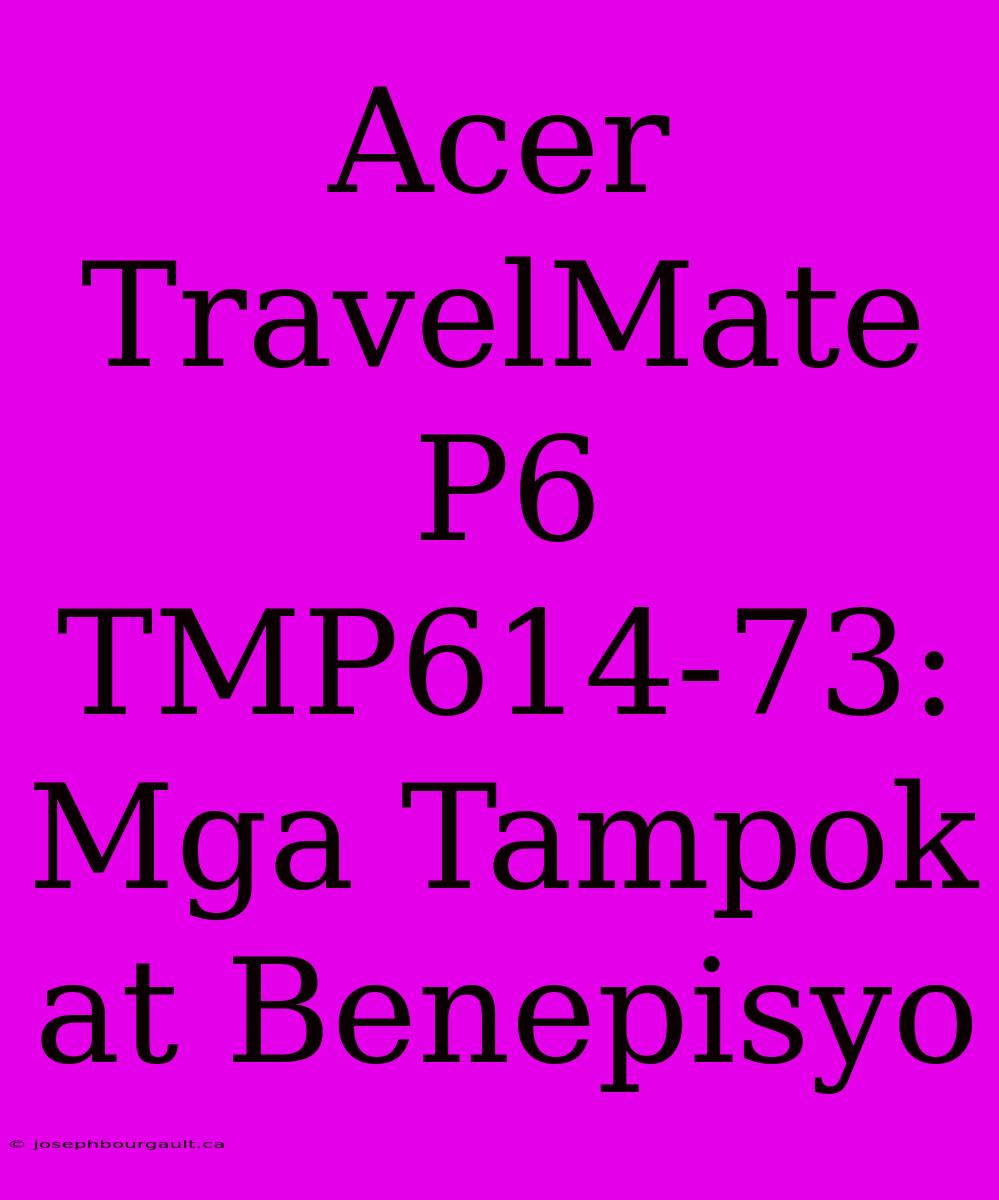 Acer TravelMate P6 TMP614-73: Mga Tampok At Benepisyo