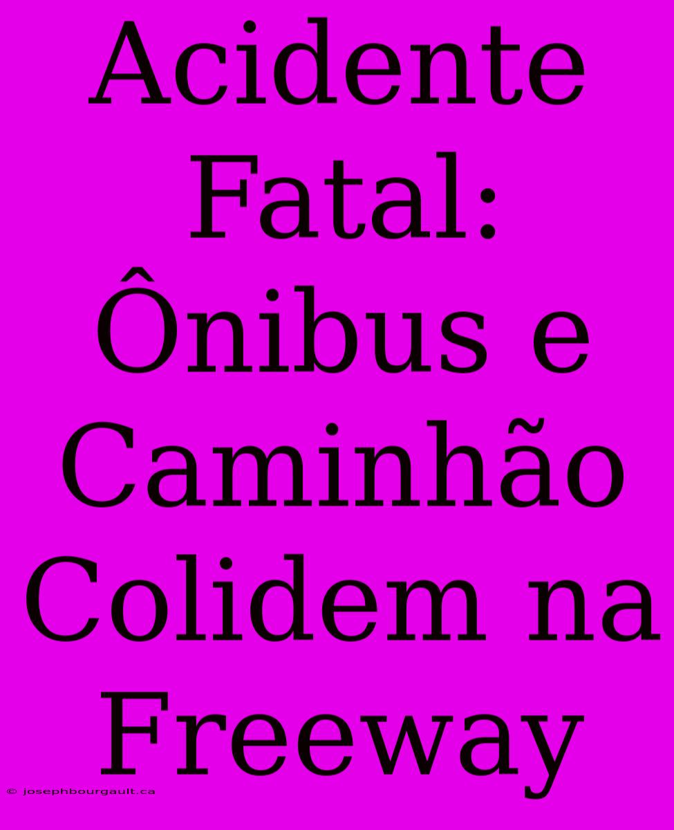 Acidente Fatal: Ônibus E Caminhão Colidem Na Freeway