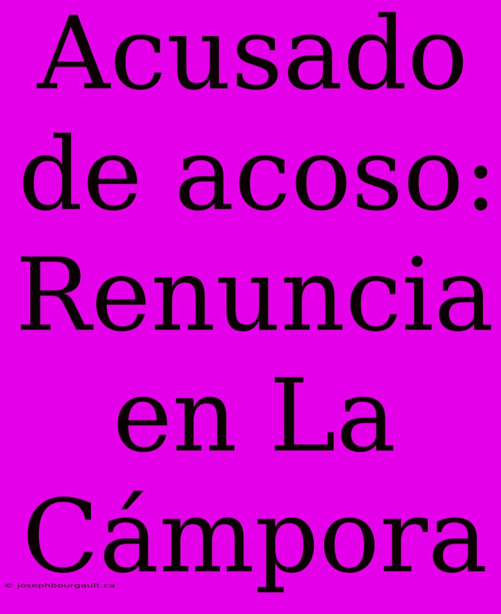 Acusado De Acoso: Renuncia En La Cámpora