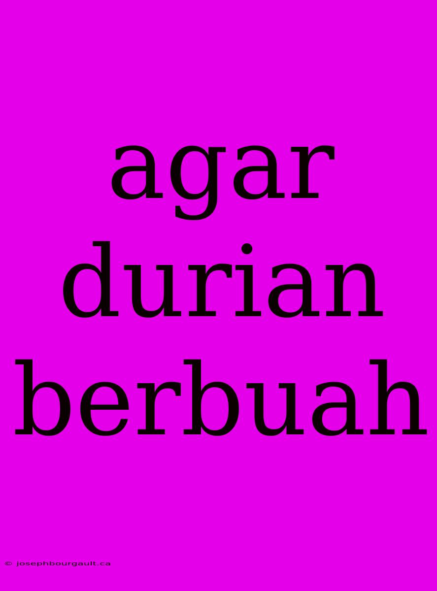 Agar Durian Berbuah