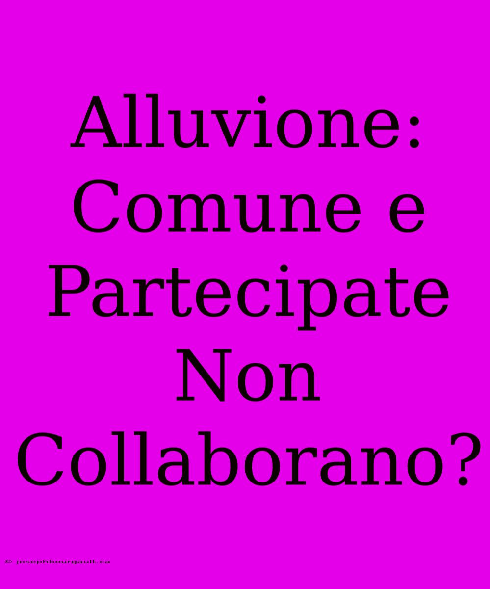 Alluvione: Comune E Partecipate Non Collaborano?