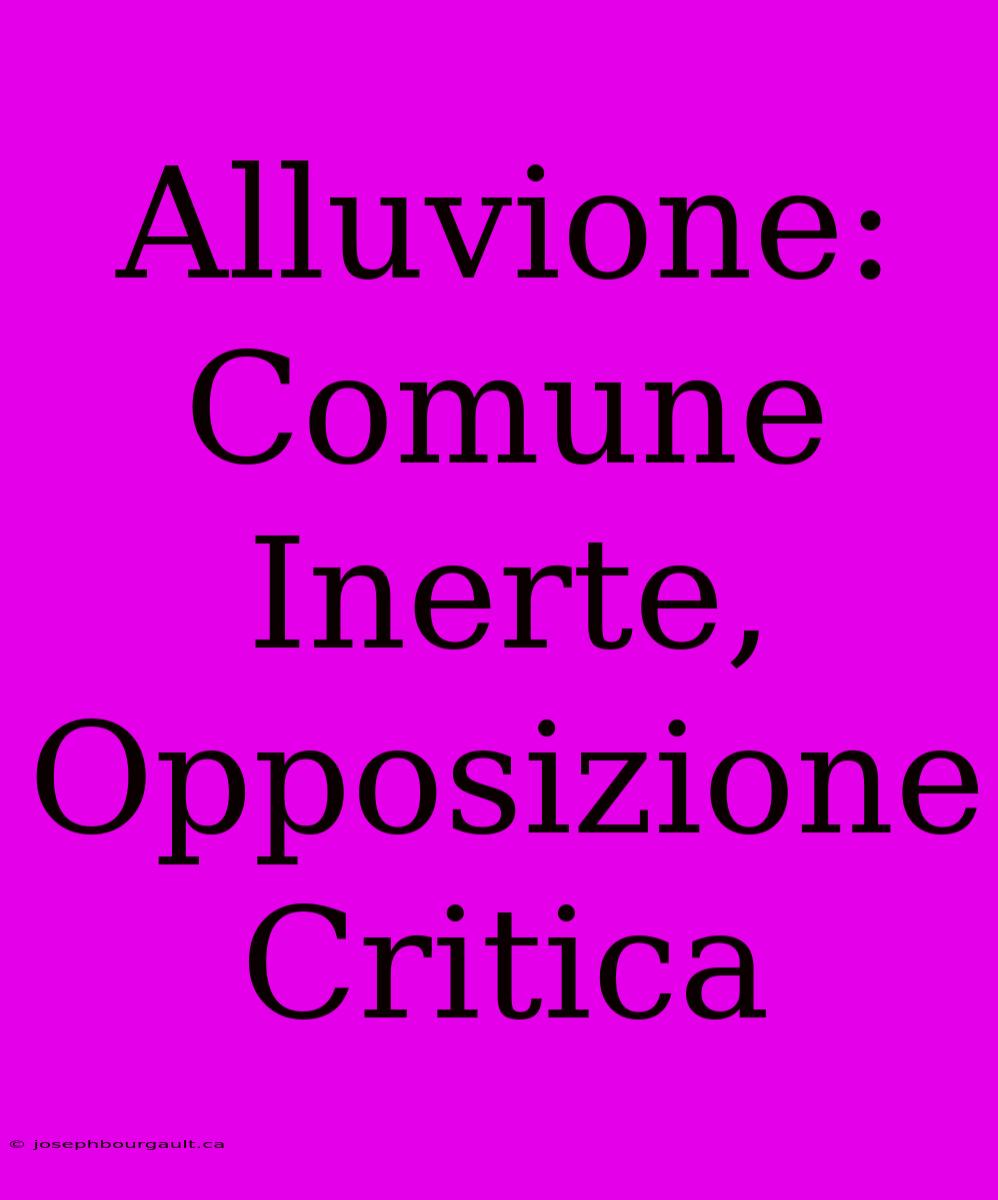 Alluvione: Comune Inerte, Opposizione Critica