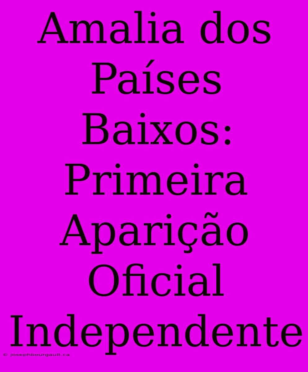 Amalia Dos Países Baixos: Primeira Aparição Oficial Independente