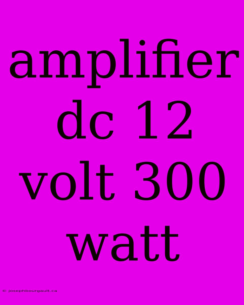 Amplifier Dc 12 Volt 300 Watt