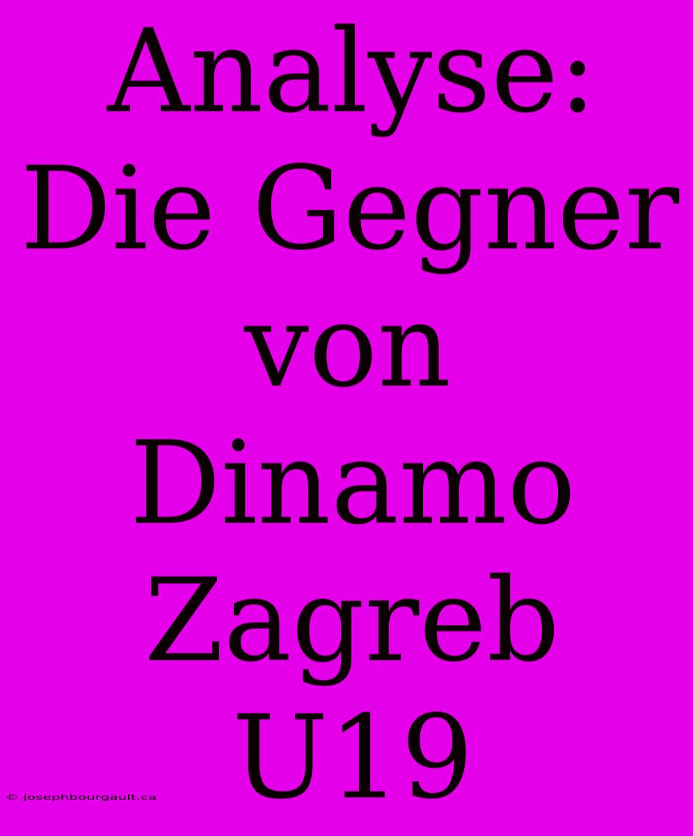 Analyse: Die Gegner Von Dinamo Zagreb U19