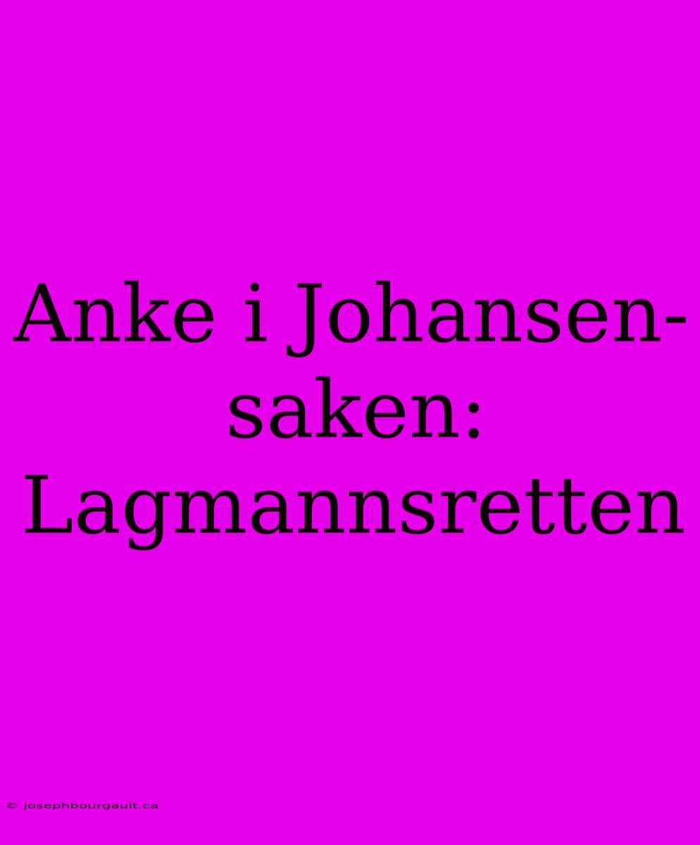 Anke I Johansen-saken: Lagmannsretten