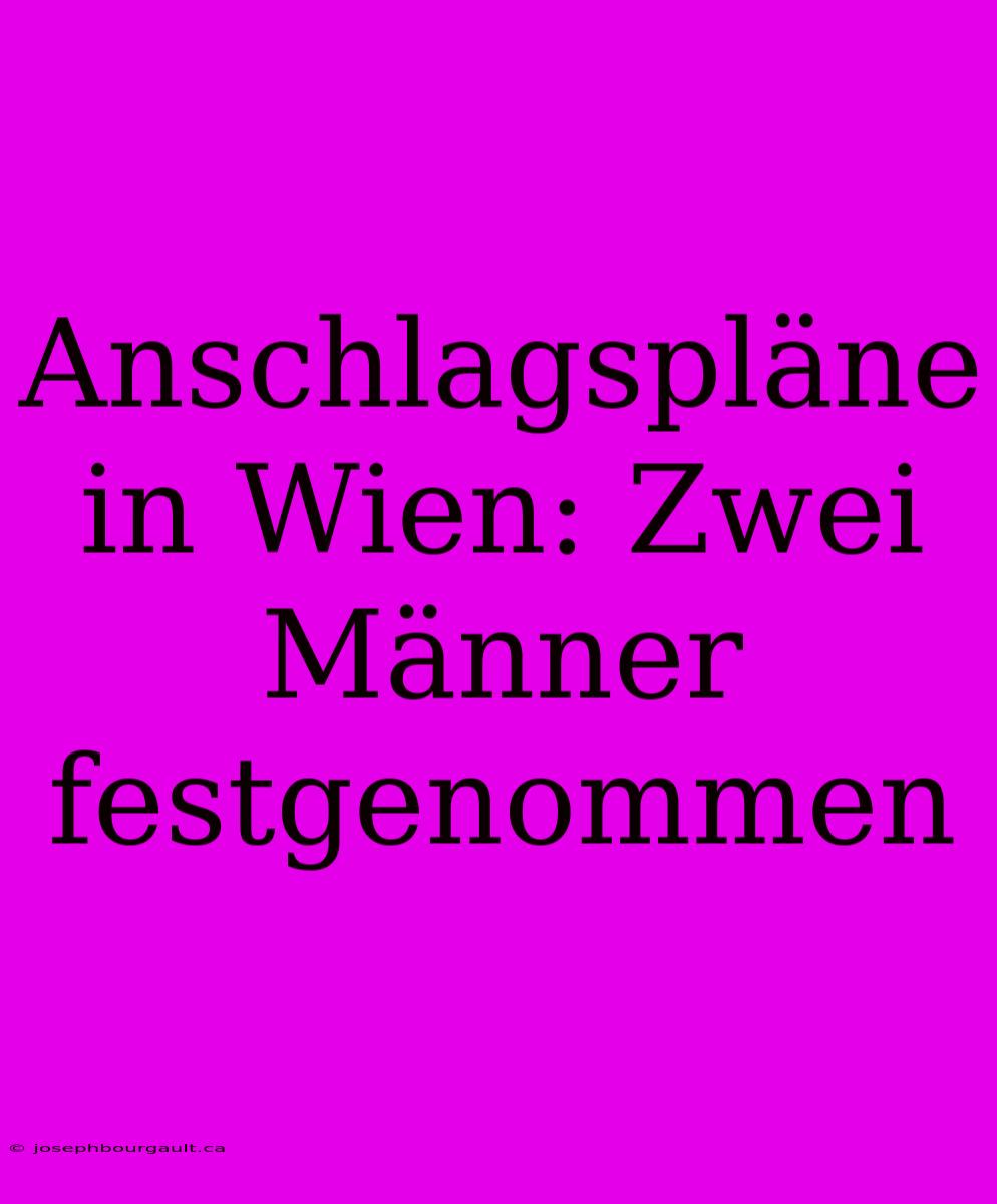 Anschlagspläne In Wien: Zwei Männer Festgenommen