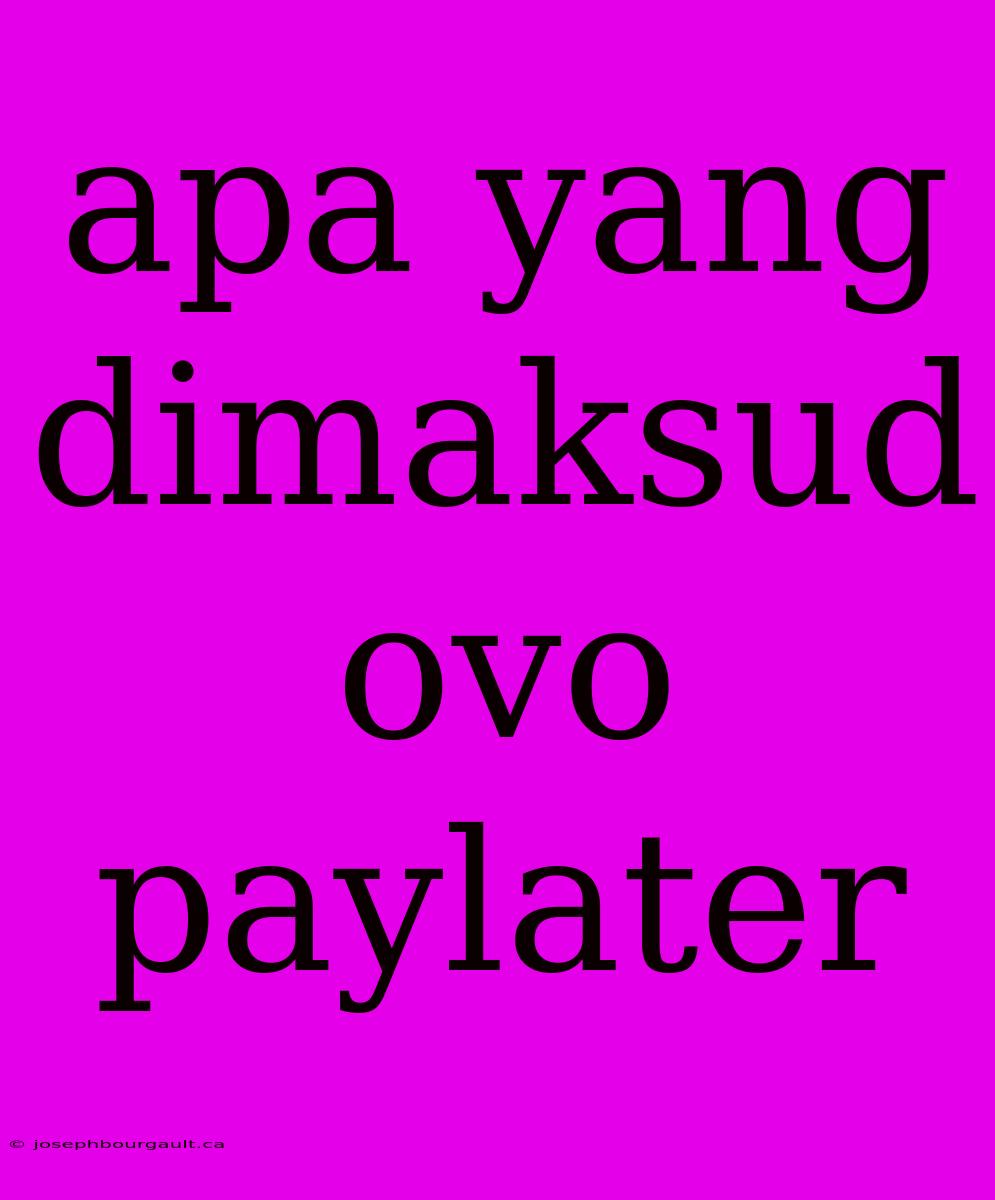 Apa Yang Dimaksud Ovo Paylater