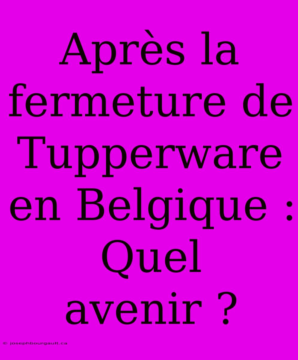 Après La Fermeture De Tupperware En Belgique : Quel Avenir ?