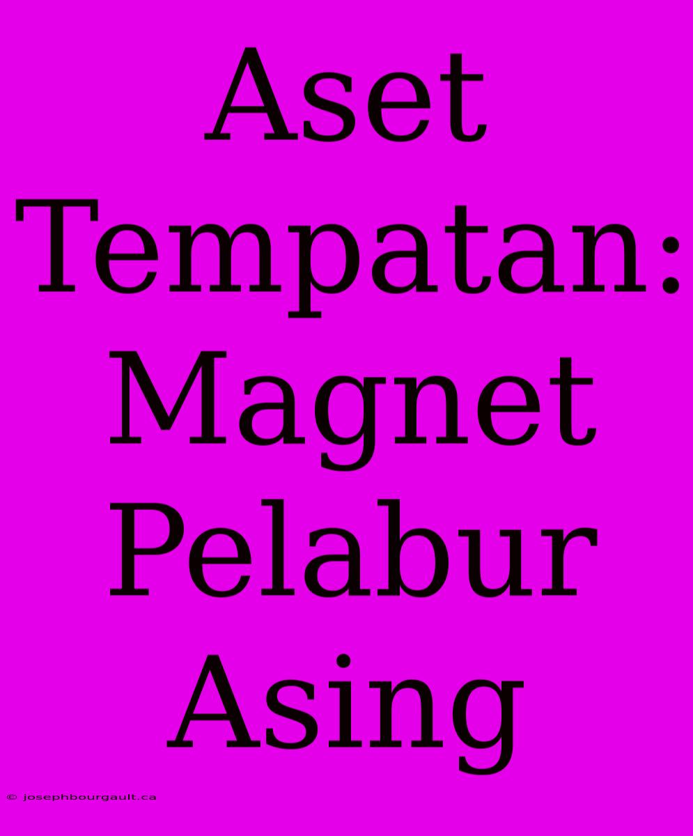 Aset Tempatan: Magnet Pelabur Asing