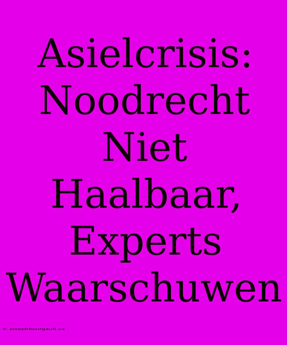 Asielcrisis: Noodrecht Niet Haalbaar, Experts Waarschuwen