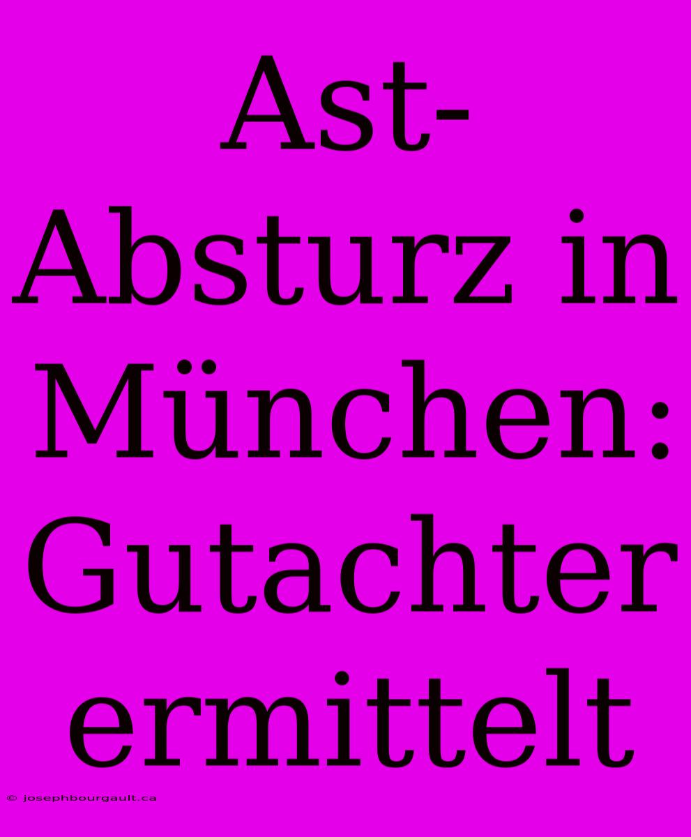 Ast-Absturz In München: Gutachter Ermittelt