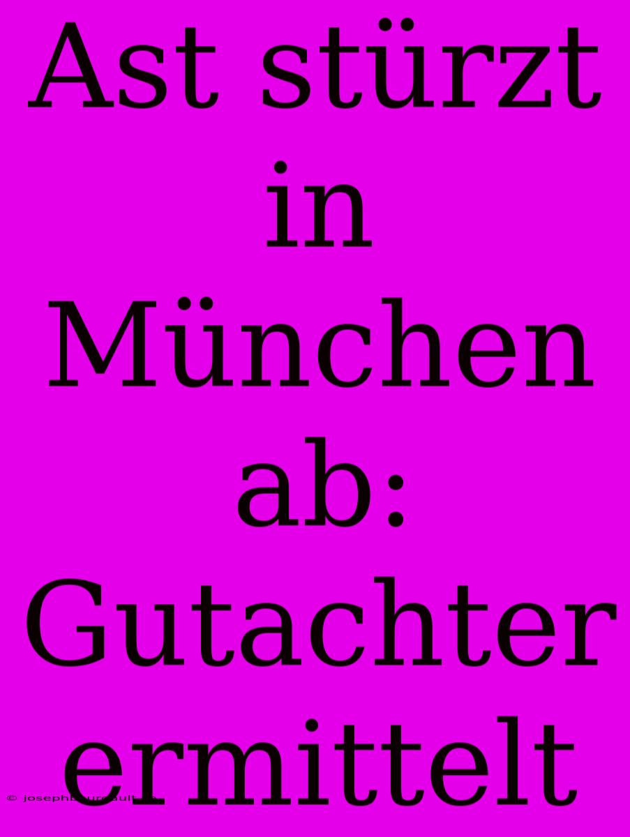 Ast Stürzt In München Ab: Gutachter Ermittelt