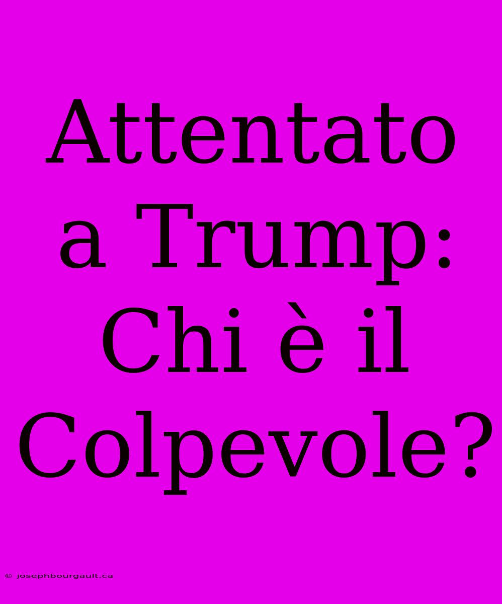 Attentato A Trump: Chi È Il Colpevole?