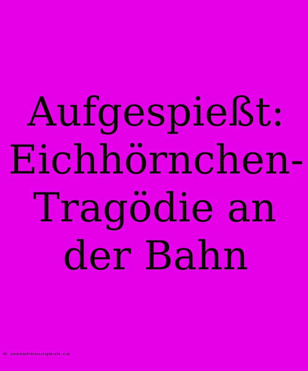 Aufgespießt: Eichhörnchen-Tragödie An Der Bahn