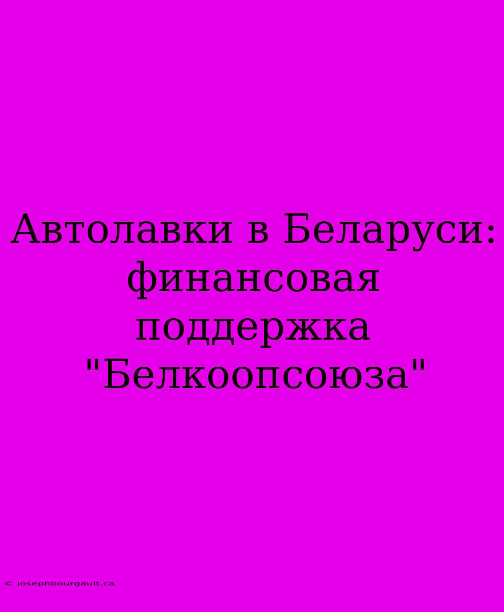 Автолавки В Беларуси: Финансовая Поддержка 