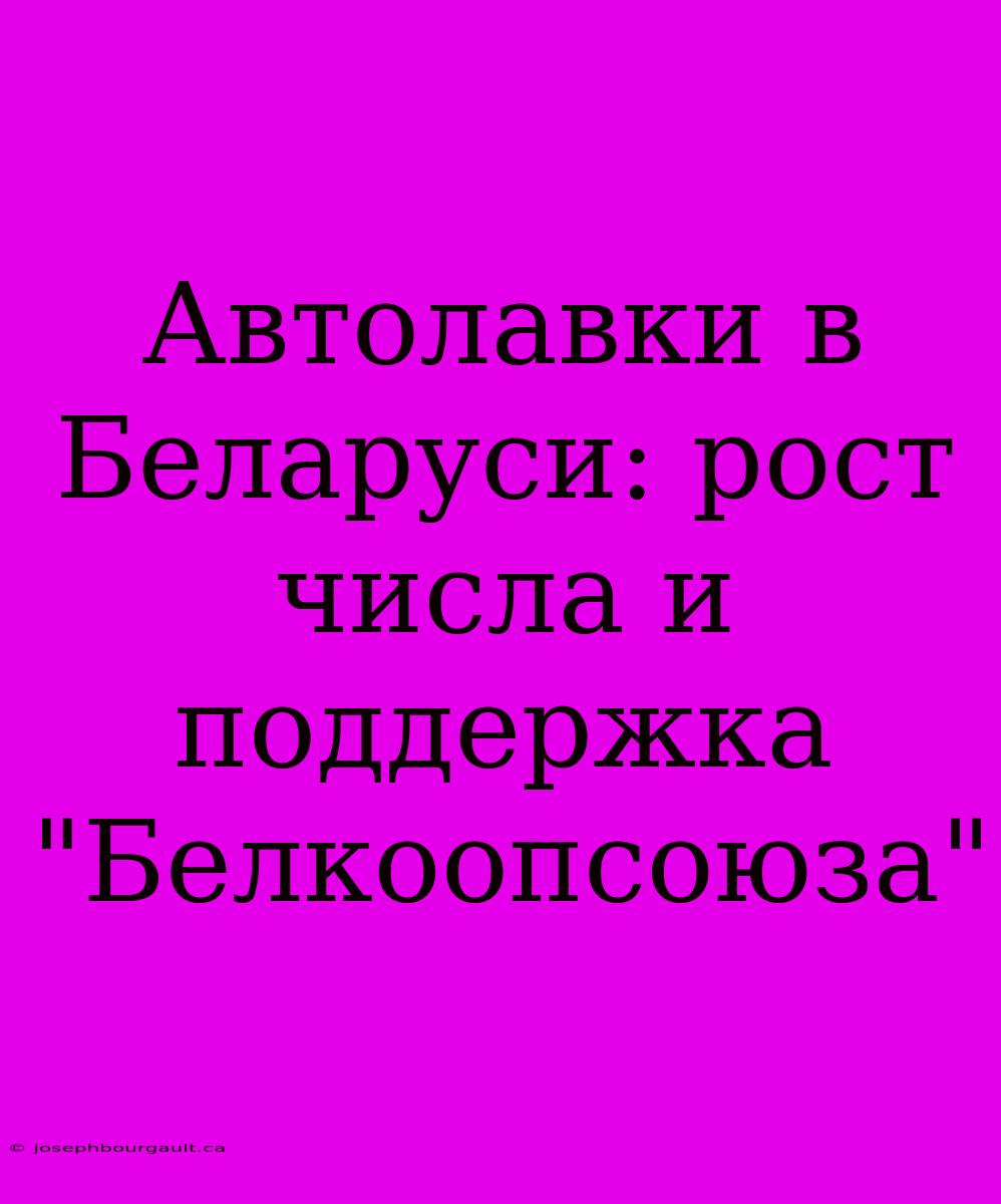 Автолавки В Беларуси: Рост Числа И Поддержка 