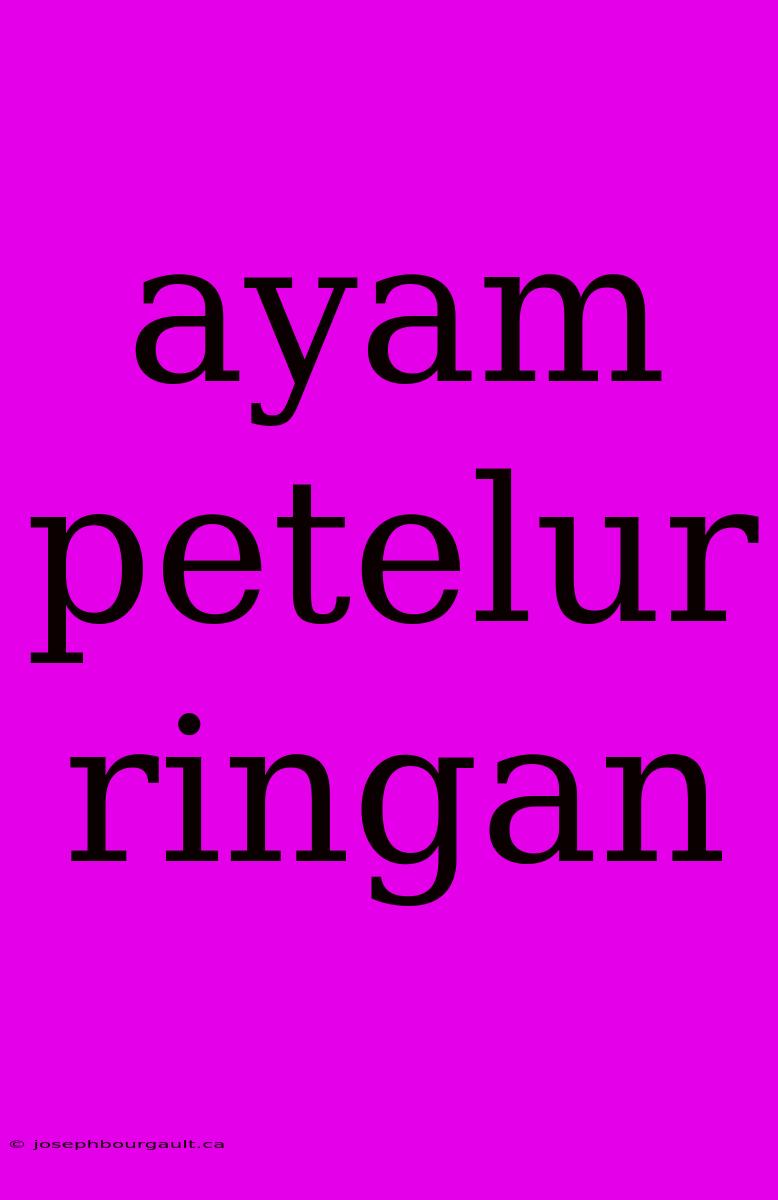 Ayam Petelur Ringan