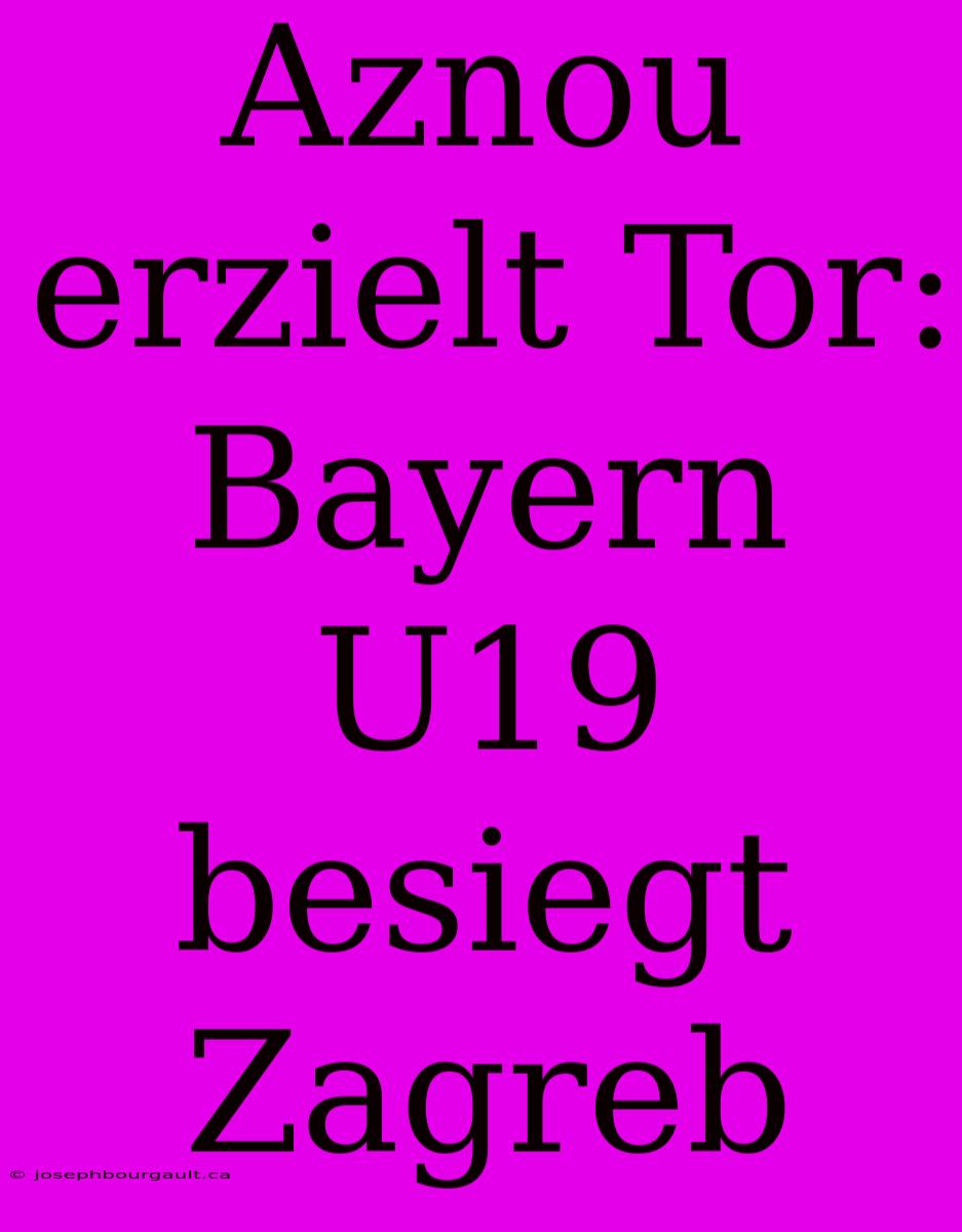 Aznou Erzielt Tor: Bayern U19 Besiegt Zagreb