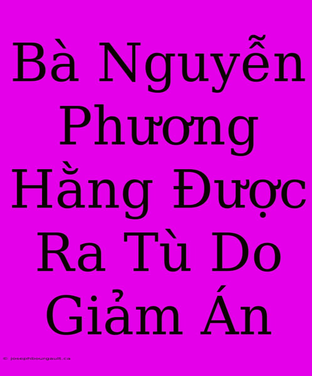 Bà Nguyễn Phương Hằng Được Ra Tù Do Giảm Án