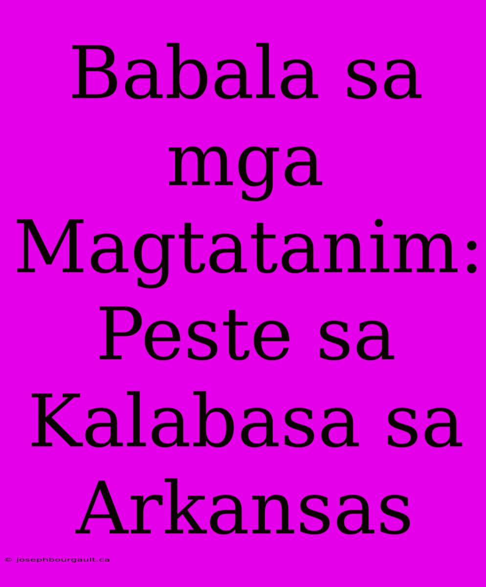 Babala Sa Mga Magtatanim: Peste Sa Kalabasa Sa Arkansas