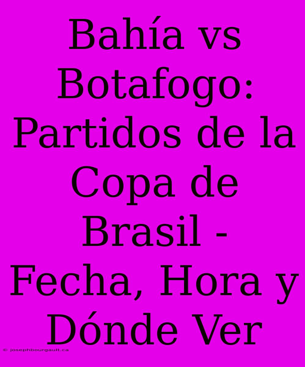 Bahía Vs Botafogo: Partidos De La Copa De Brasil - Fecha, Hora Y Dónde Ver