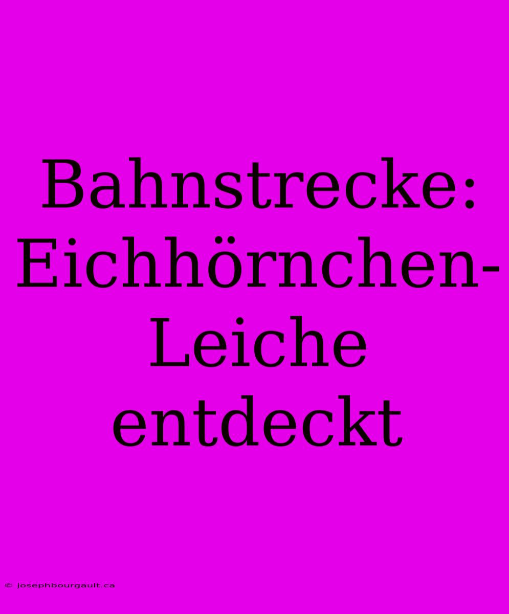 Bahnstrecke: Eichhörnchen-Leiche Entdeckt