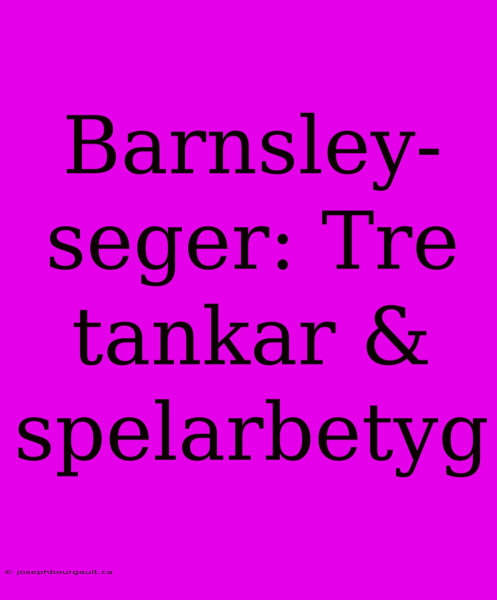 Barnsley-seger: Tre Tankar & Spelarbetyg