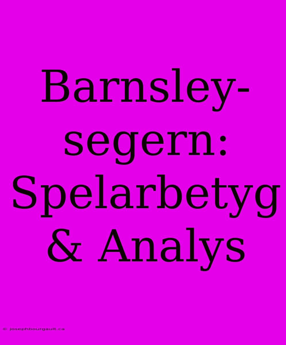 Barnsley-segern: Spelarbetyg & Analys