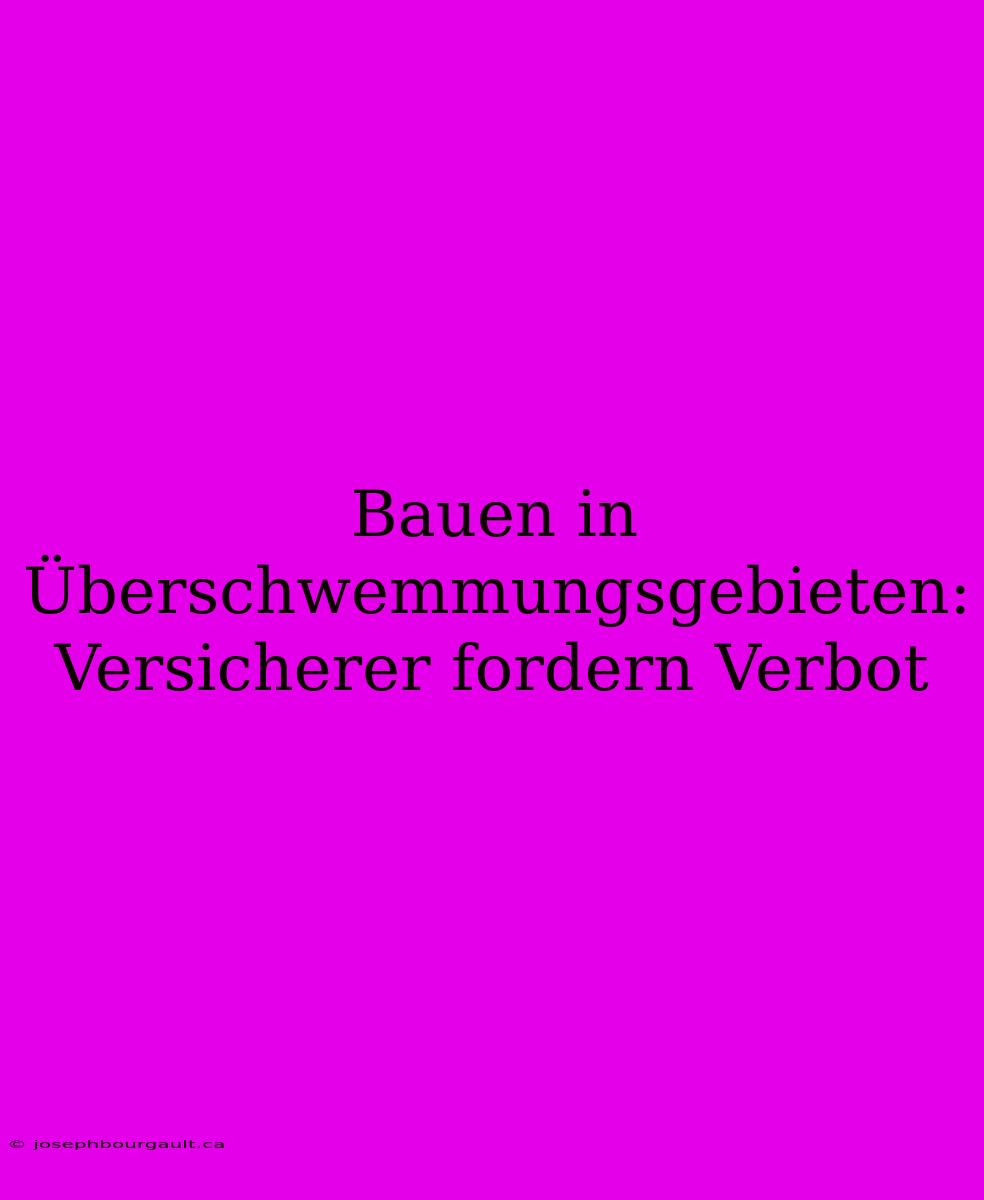 Bauen In Überschwemmungsgebieten: Versicherer Fordern Verbot