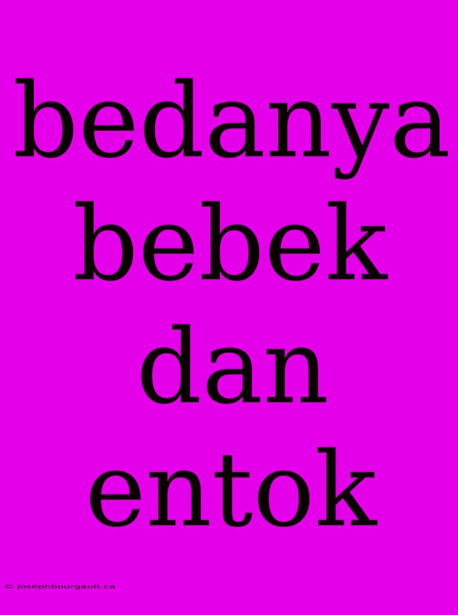 Bedanya Bebek Dan Entok