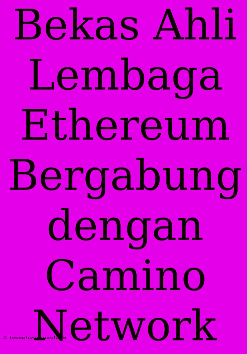 Bekas Ahli Lembaga Ethereum Bergabung Dengan Camino Network