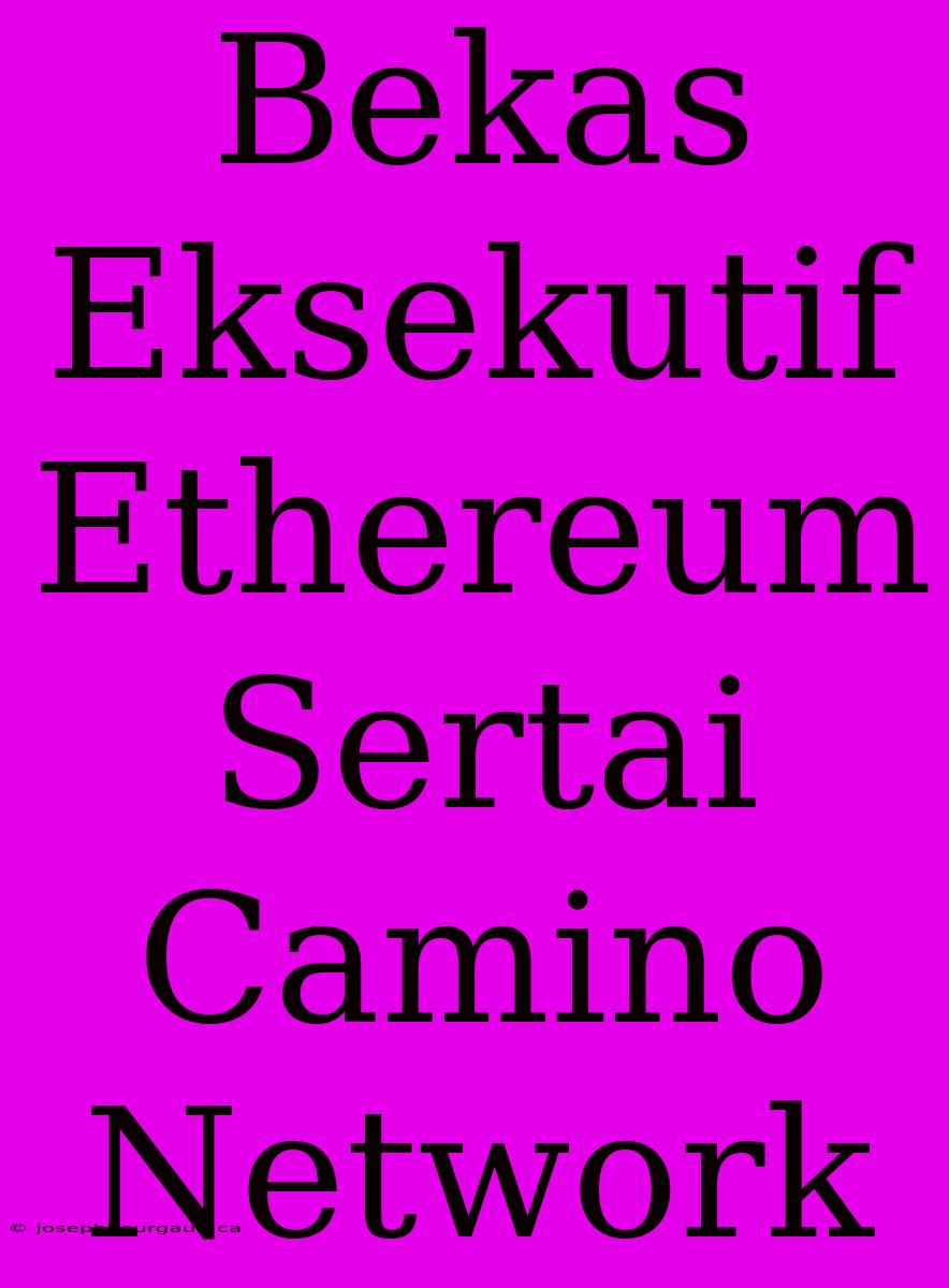 Bekas Eksekutif Ethereum Sertai Camino Network