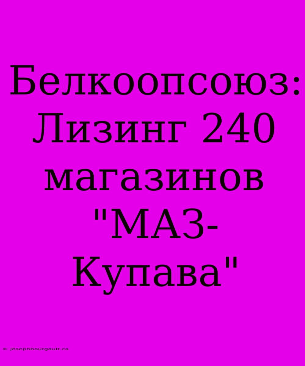 Белкоопсоюз: Лизинг 240 Магазинов 