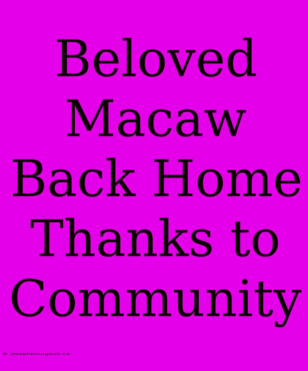 Beloved Macaw Back Home Thanks To Community