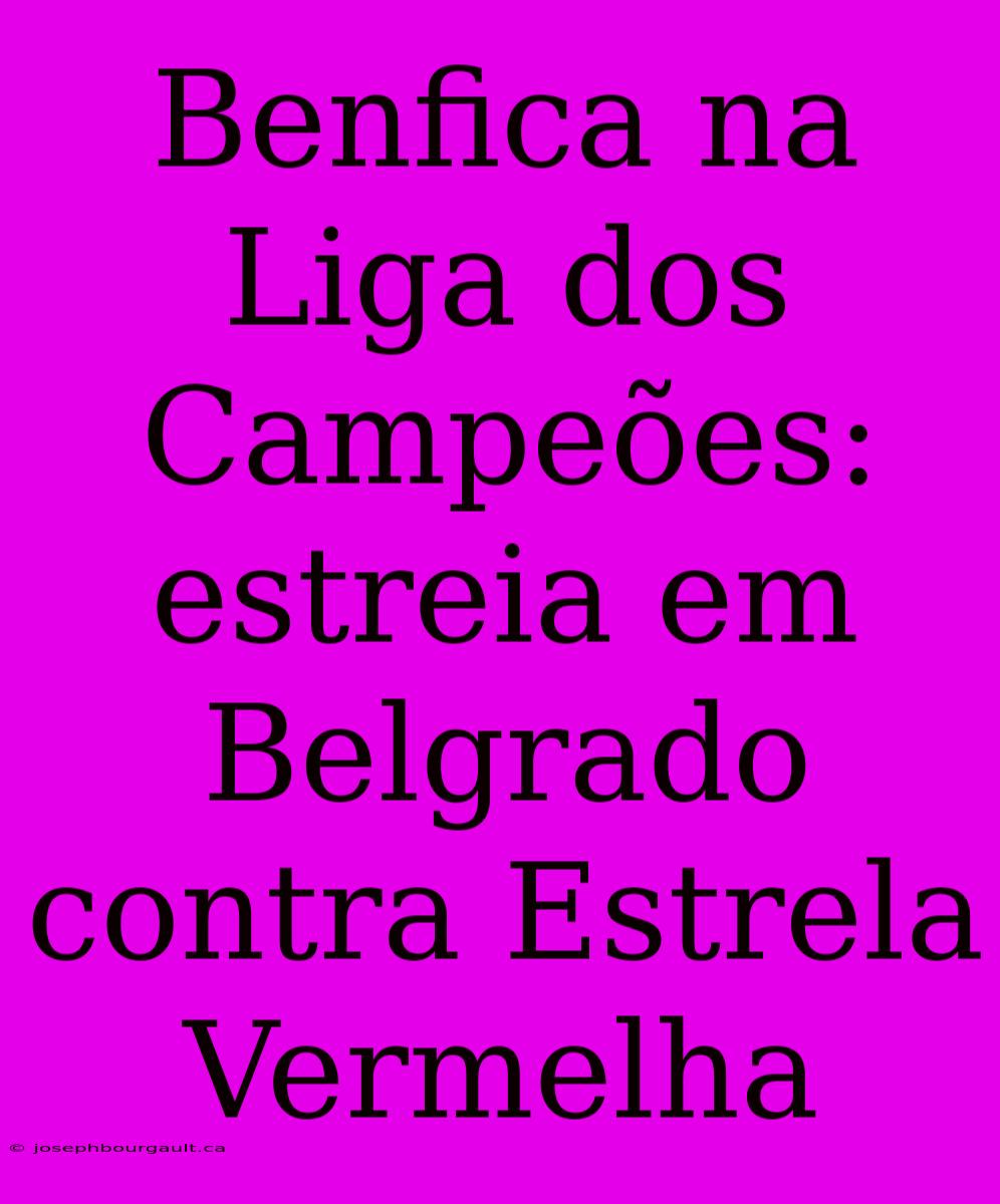 Benfica Na Liga Dos Campeões: Estreia Em Belgrado Contra Estrela Vermelha