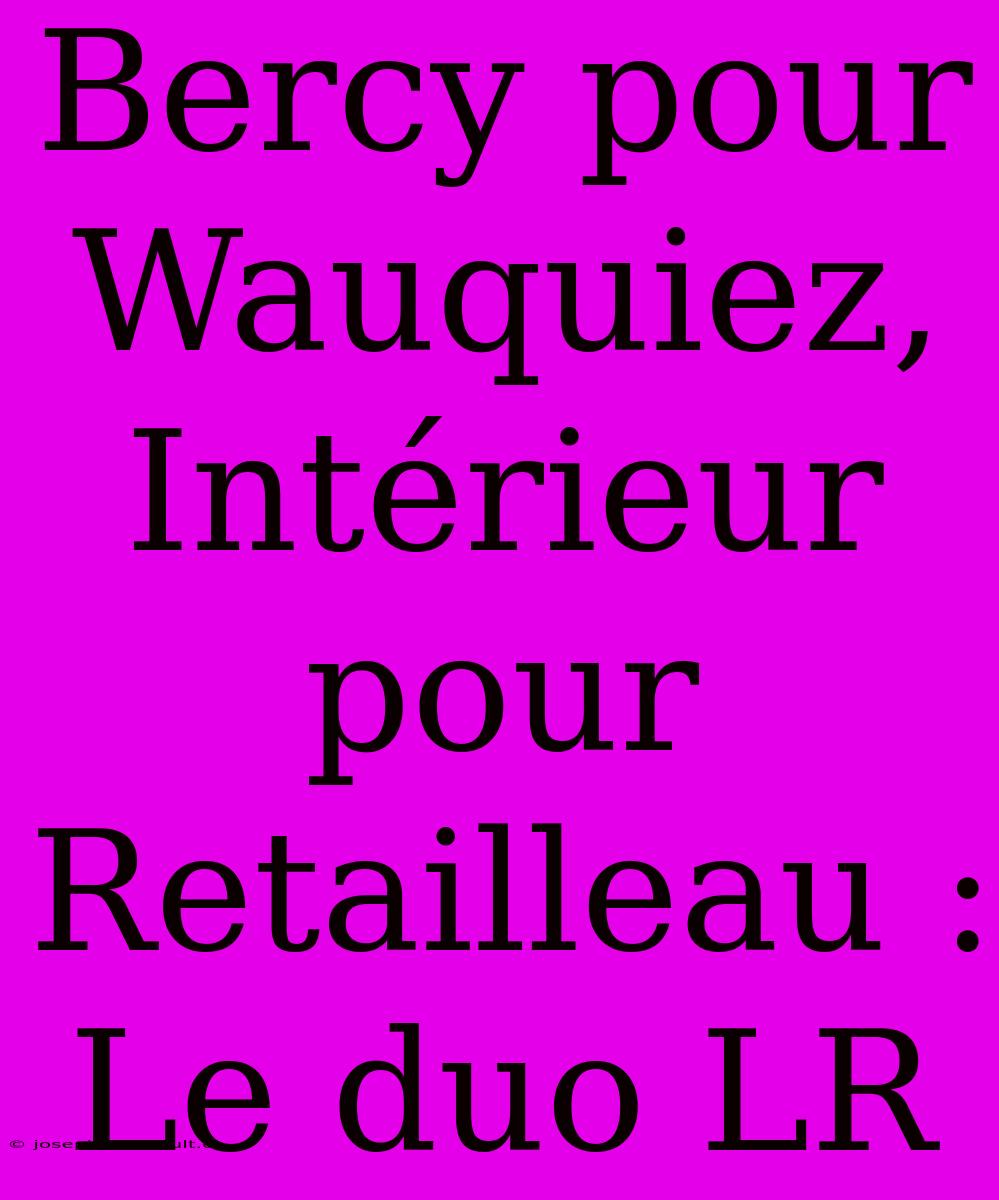 Bercy Pour Wauquiez, Intérieur Pour Retailleau : Le Duo LR