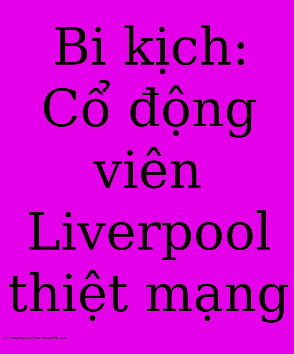 Bi Kịch: Cổ Động Viên Liverpool Thiệt Mạng